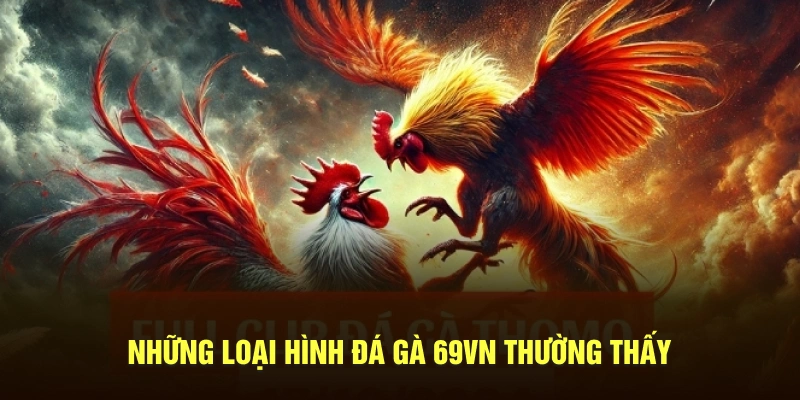 các hình thức chọi gà hot nhất 